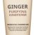 Esthetic House CP-1 Ginger Purifying Shampoo attīrošs šampūns, 100ml